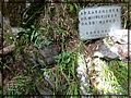 2012-07-12 14-32-18山友罹難紀念牌.JPG